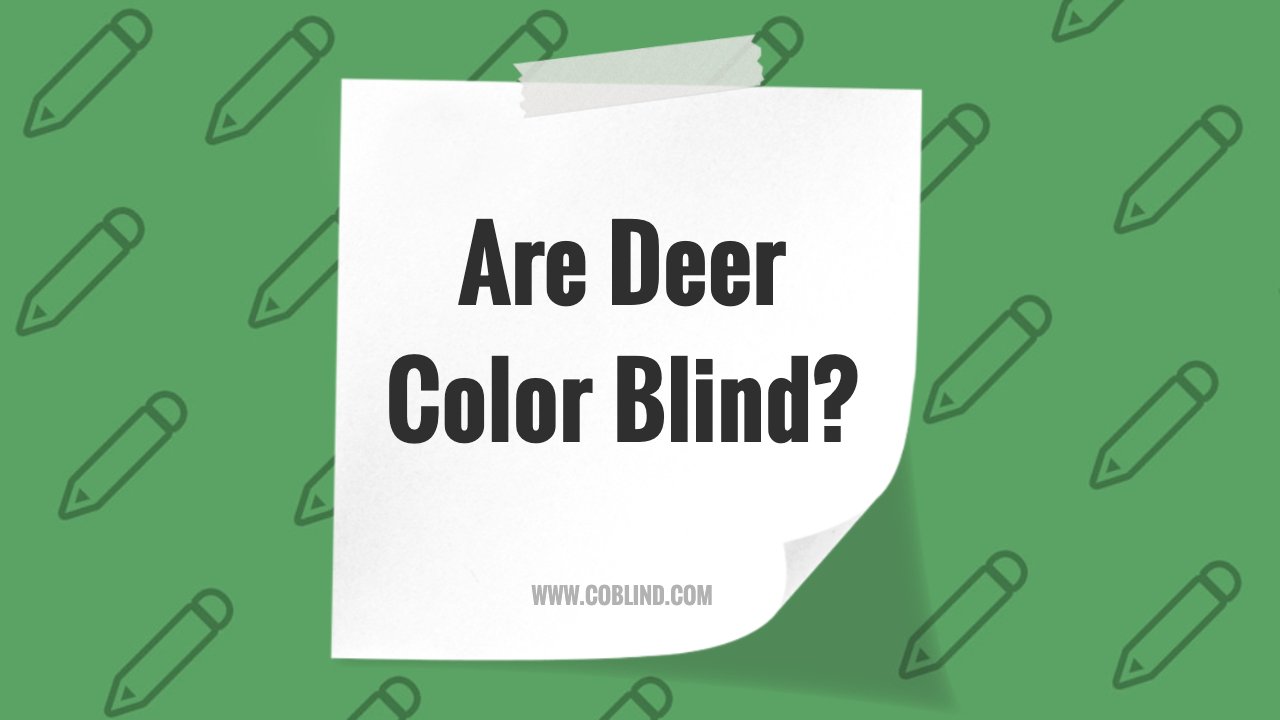 Are Deer Color Blind? Understanding Their Vision