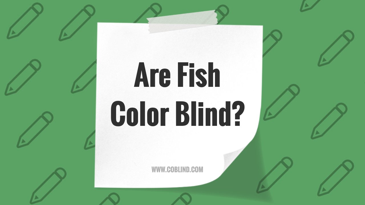 Are Fish Color Blind? Understanding Aquatic Vision
